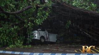Typhoon Wipha topples trees and causes major flight disruptions in Hong Kong