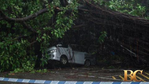 Typhoon Wipha topples trees and causes major flight disruptions in Hong Kong