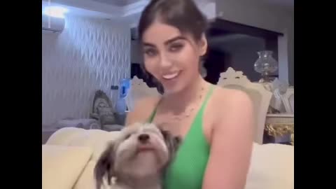 Funny Animal Videos