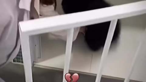 😂