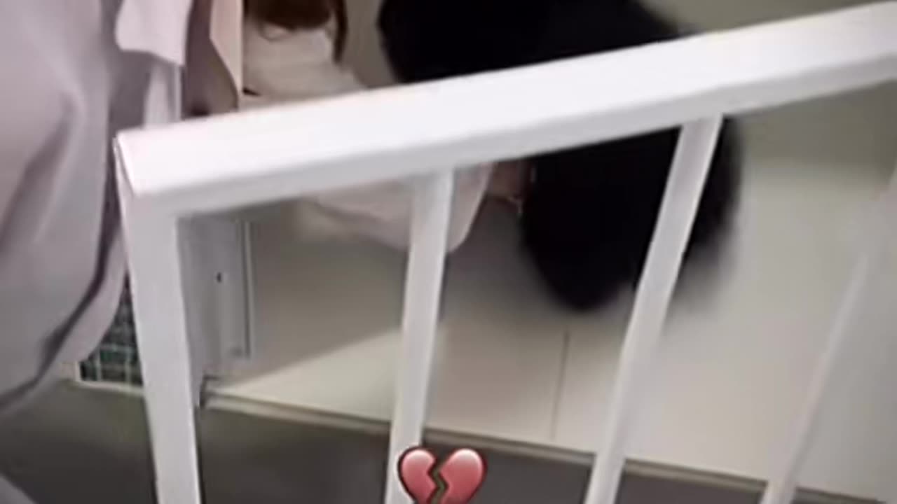 😂