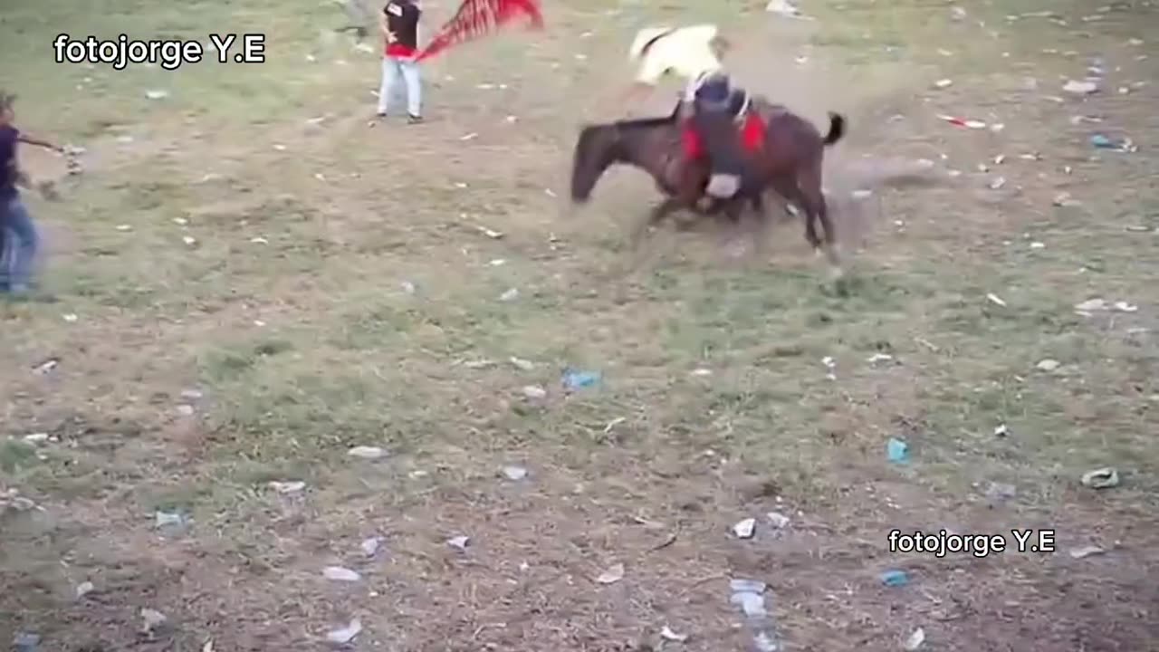 caballo