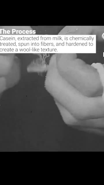 Making Wool from Milk