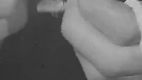 Making Wool from Milk