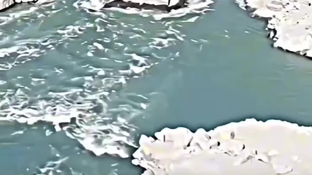 Diamer-Bhasha Dam: Pakistan's $14 Billion Megaproject for Water & Power