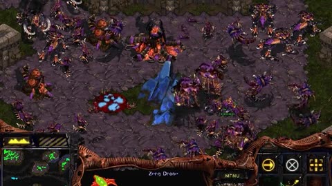 PC Longplay 320 Starcraft 1 part 2 Zerg Campaign