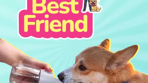 PetBuds’ portable dog water bottle