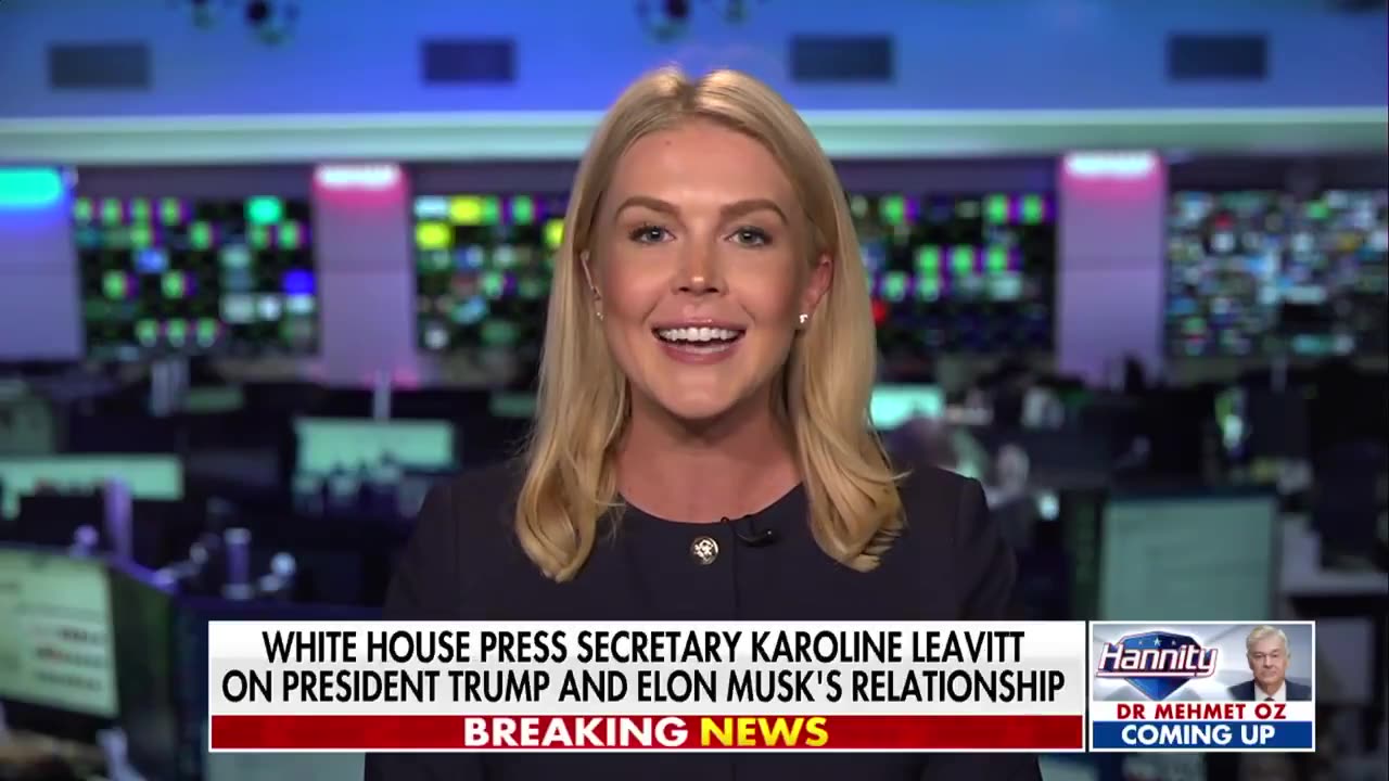 Karoline Leavitt on the Trump-Musk feud