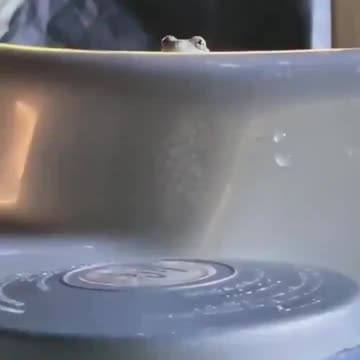 The chance of being annihilated by a frog while in a hot tub is low, but never zero.