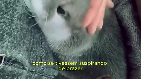 Que linda