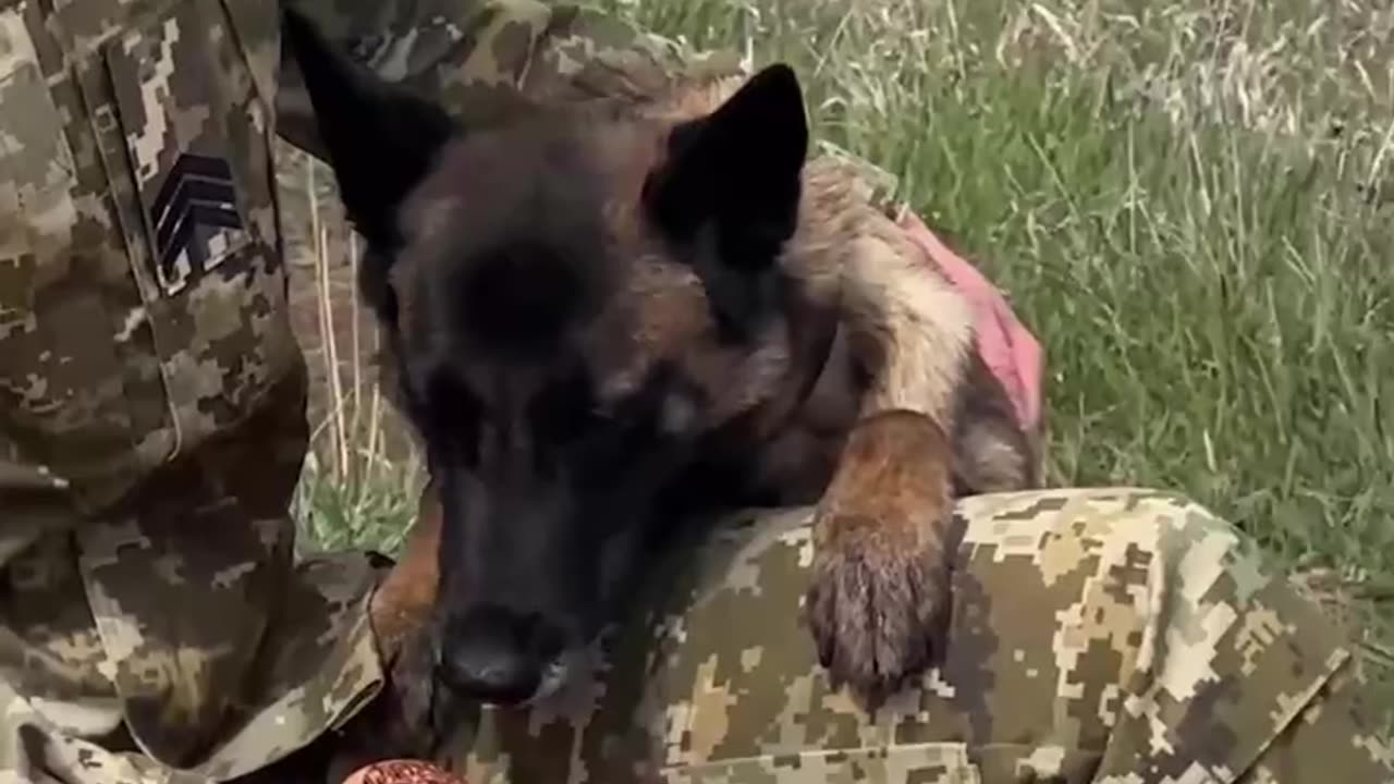 The holiday tastes even better when you have a loyal friend by your side. Have