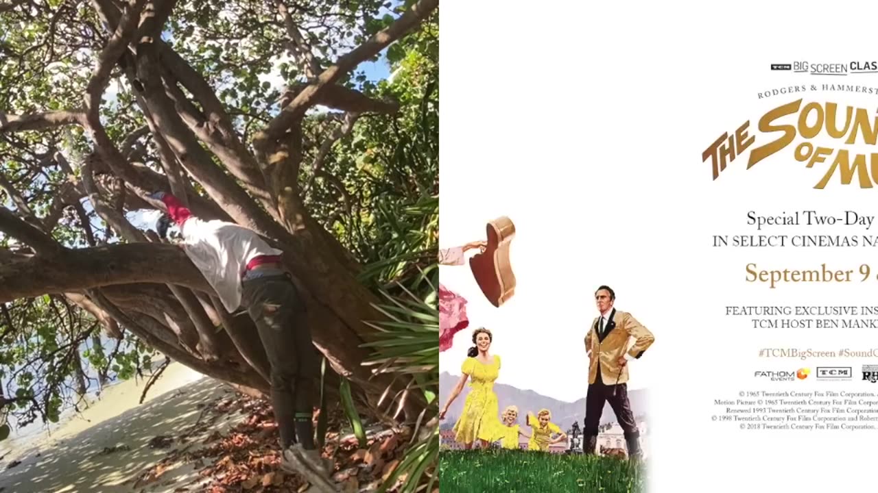 Look Up Child