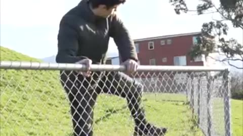 How Animals Get Over a Fence With Emojis