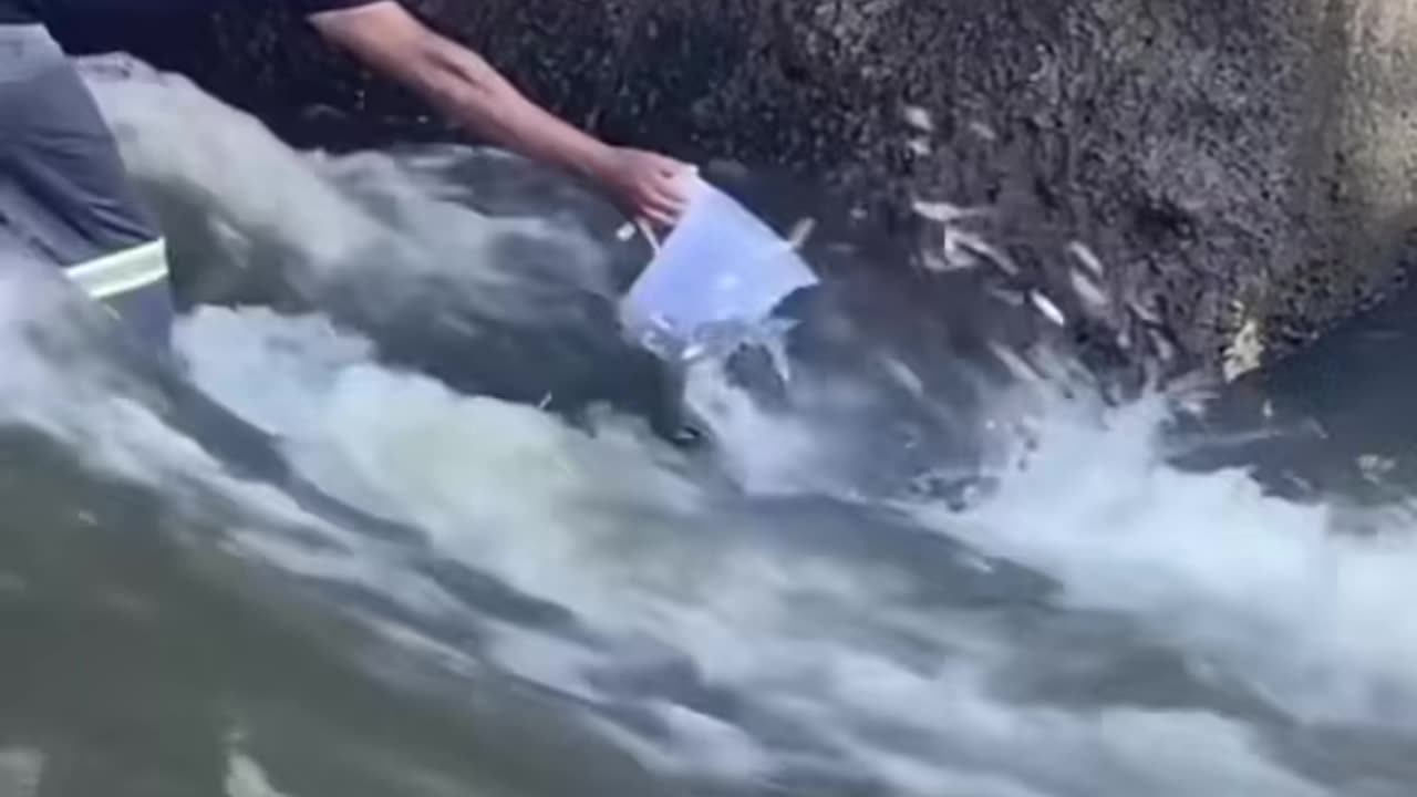 This man is clearly hacking