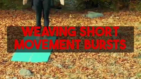 Effective Exercises for Stress and Anxiety Relief