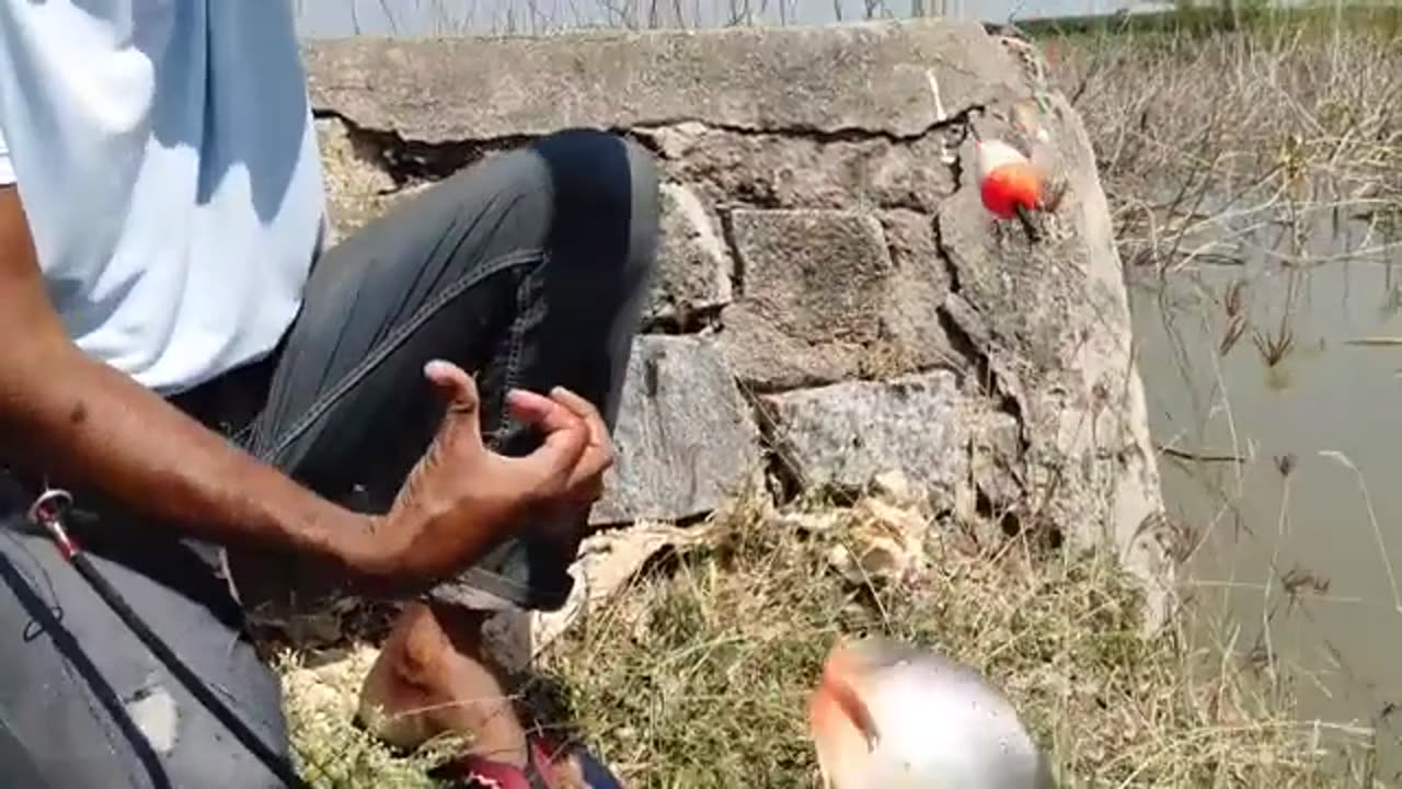 Excellent Fishing & Catching