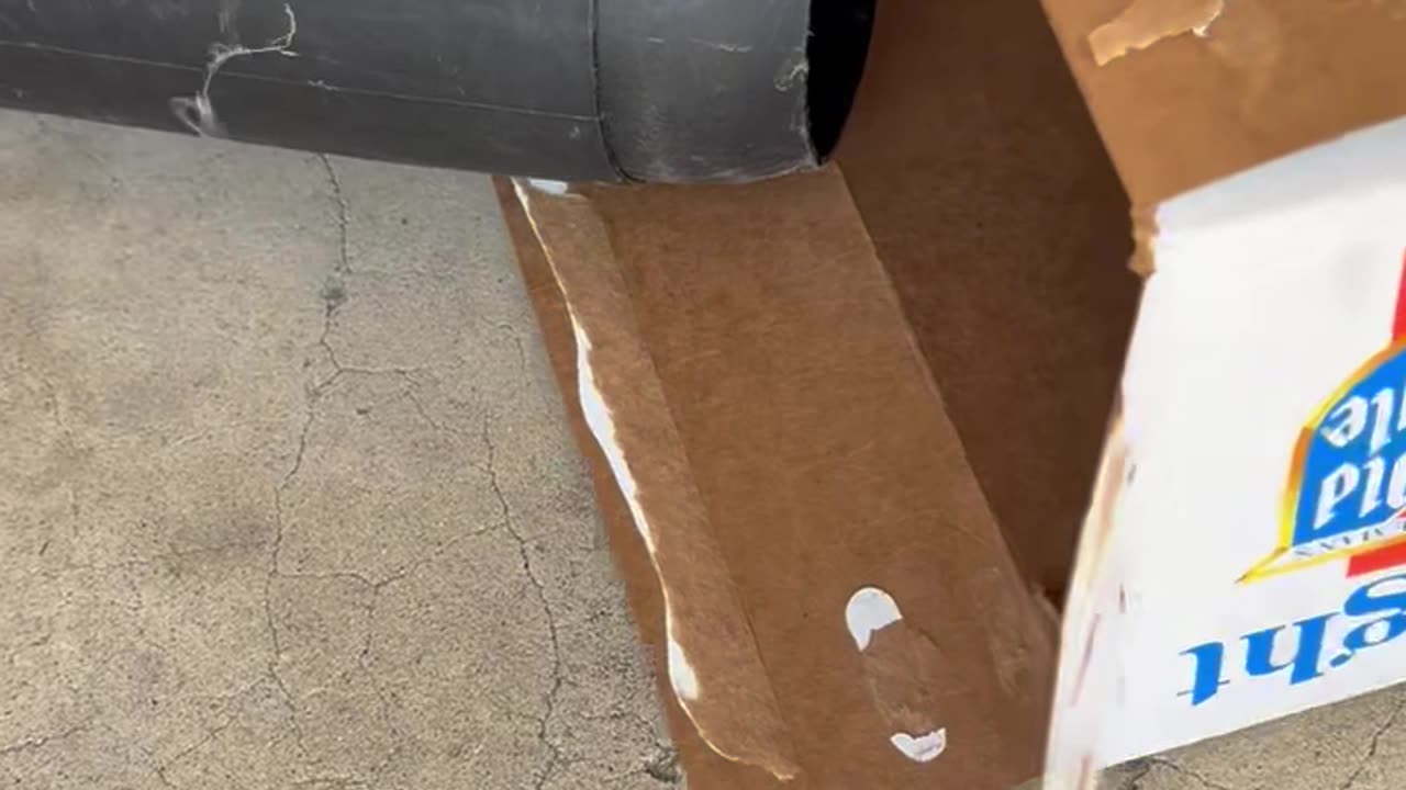 Baby Opossum Hiding in Leaf Blower