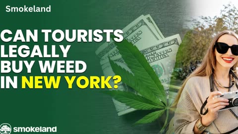 Can Tourists Legally Buy Weed in New York? A guide for toking tourists