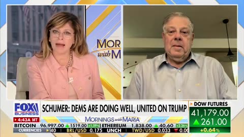 Mark Penn Says Dems 'Problem' Is 'They're Seen As Purely Partisan' And 'Off The Deep End'