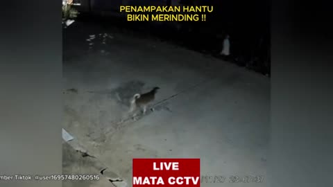 Don't Watch This Alone – Scariest Horror Videos Tonight!