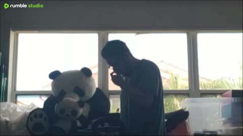 Panda entertainment 🐼