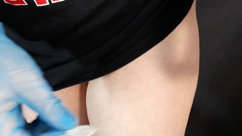 lion and parrot temporary tattoo sticker magic art design