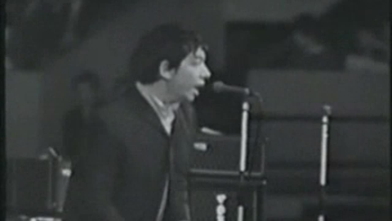 The Animals - Live At Wembley = 1965