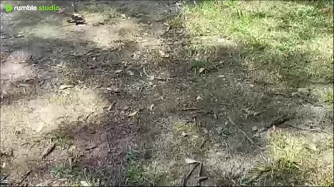 hyyyy