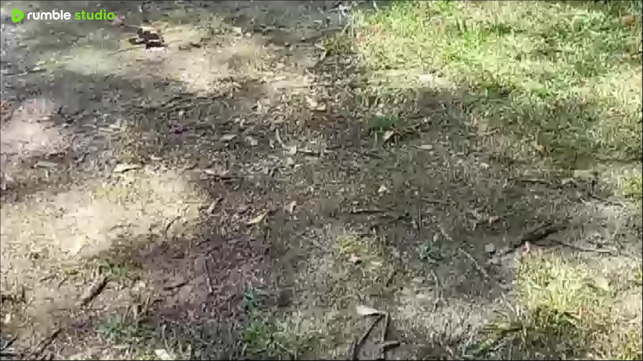 hyyyy