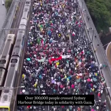 Massive protest August 2025 peace in Gaza
