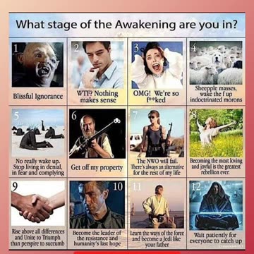 What stage of the awakening are you in?