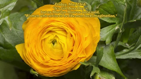 Girl Boss Day... ~ Friday, May 23, 2025 Numerology @ a Glance!