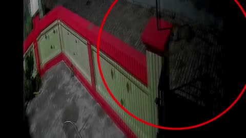 Leopard on the Loose! CCTV Captures Big Cat in Moradabad Village, Panic Spreads