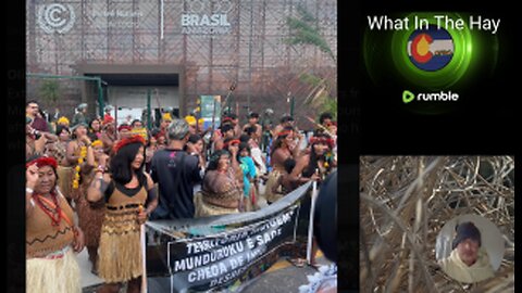 INDIGENOUS PEOPLE PROTEST COP 30 CLIMATE CHANGE ALARMIST