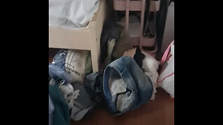 Detectan un ‘ladrón’ que convirtió una casa en un caos