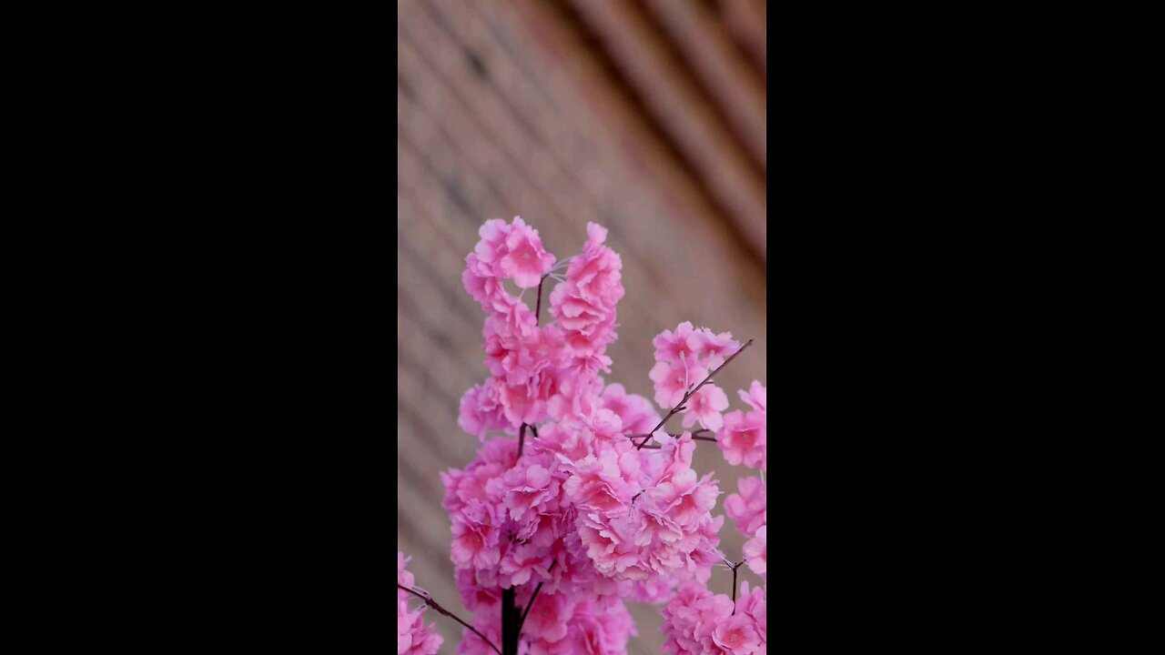 🔥Surah An-Naml 27:59 سورة النمل 🌟 All Praise Belongs to Allah🛐 #quran #shorts #viral