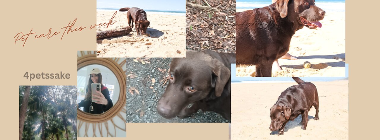 Pet care for last week 🐾🤗