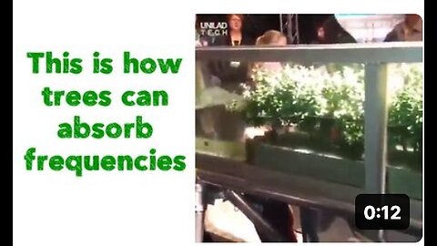 Understanding Tree Absorption of Frequencies