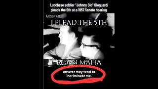BIDEN Mafia Pleads The 5th, Plausible Reasons for NOT Releasing EPSTEIN List