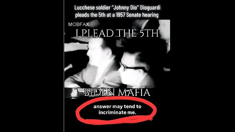 BIDEN Mafia Pleads The 5th, Plausible Reasons for NOT Releasing EPSTEIN List