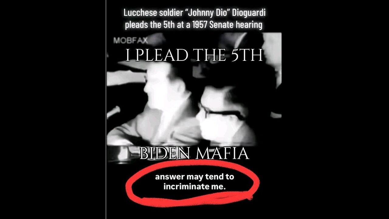 BIDEN Mafia Pleads The 5th, Plausible Reasons for NOT Releasing EPSTEIN List
