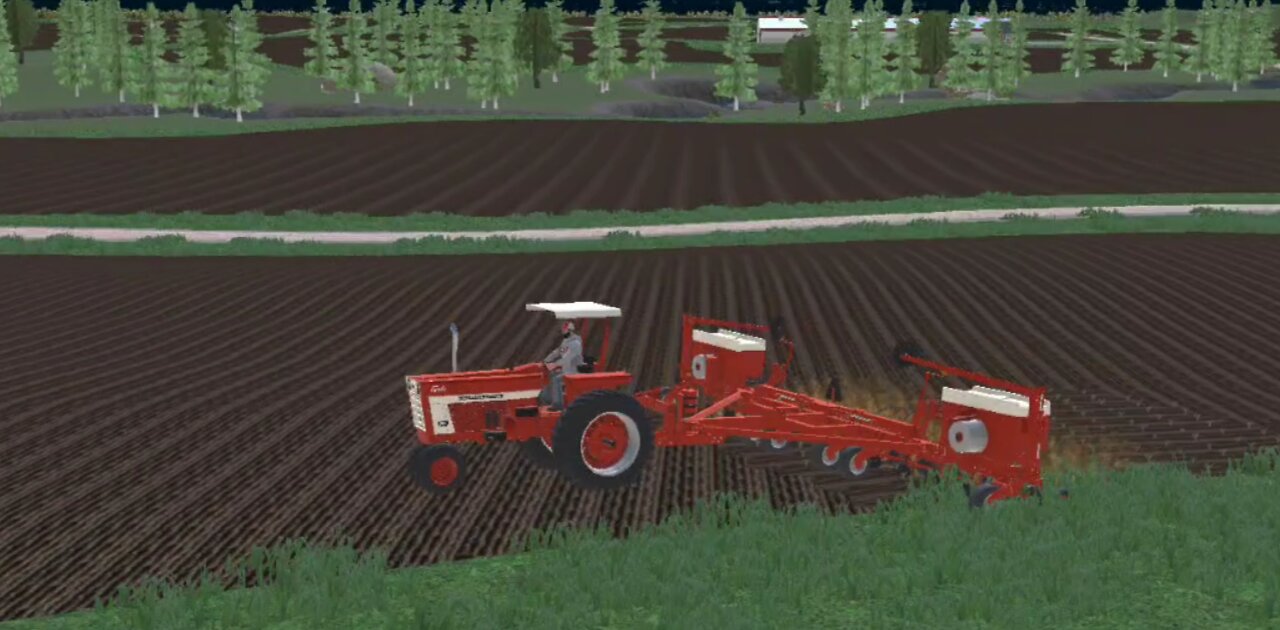 American Farming - selling pigs