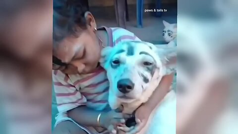 FUNNIEST🤣 ANIMAL 🐕 VIDEOS OF 2025 | TRY NOT TO LAUGH😁