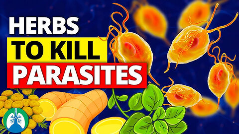 Top Herbs Commonly Recognized for Their Potential to Kill Parasites