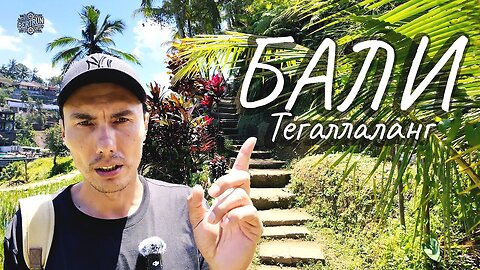 BALI| RICE TERRACES | LUXURIOUS NATURE (russian leng) #travel #indonesia #bali #adventure