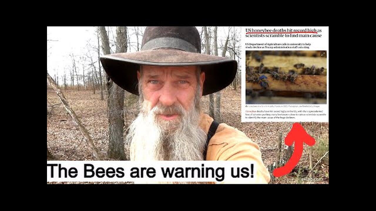 Off Grid With Doug & Stacy: WARNING! Get Fucking Ready For Agenda 2030 Higher Food Prices!