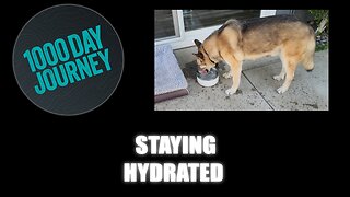 1000 Day Journey 0778 Staying Hydrated on days like today