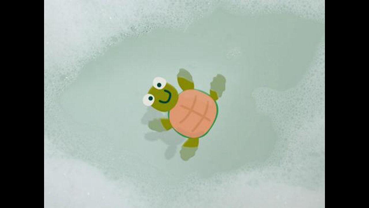 Paddy’s Bathroom - I Had A Little Turtle Commercial