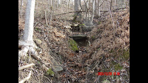 Amazing find FOSSIL HUNTING!!!