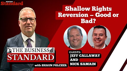 Shallow rights reversion — good or bad?